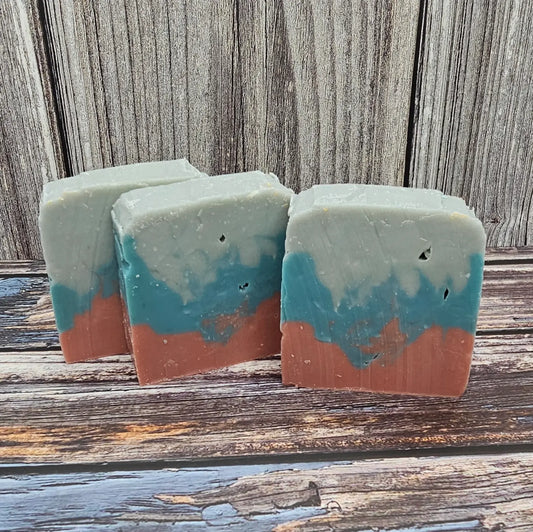 Pheromones Soap Bar